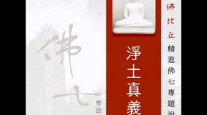 淨土真義 第五集 (粵語翻譯)