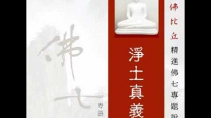淨土真義 第二集 (華語)