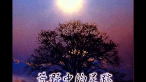 荒野中的足跡 第一集